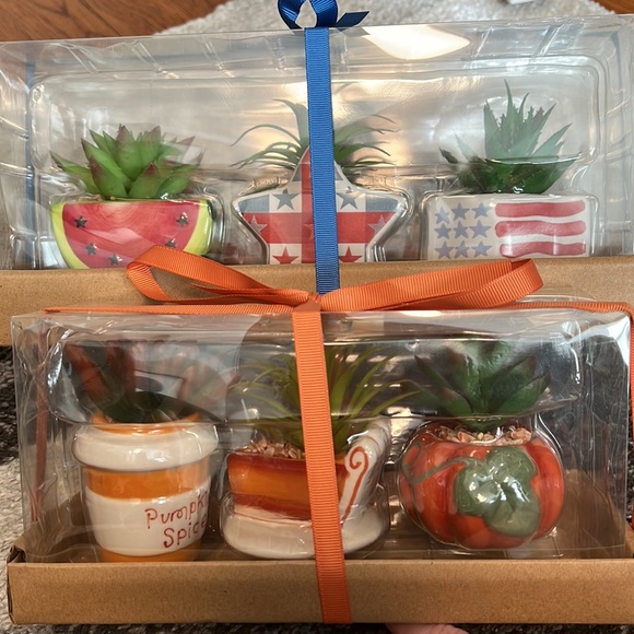 Kohl’s Celebrate Fall and Americana faux succulents, NIB! - Picture 3 of 6
